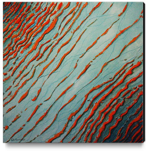 Red Waves Canvas Print by di-tommaso