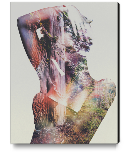 Wilderness Heart Canvas Print by Andreas Lie