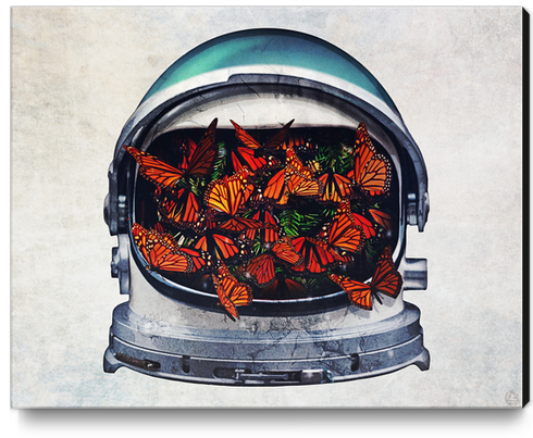 helmet (within) Canvas Print by Seamless