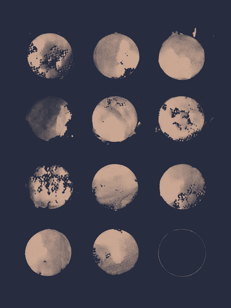 Twelve Moons by Florent Bodart - Speakerine