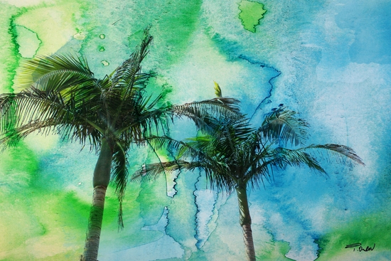 Palm Trees by Irena Orlov