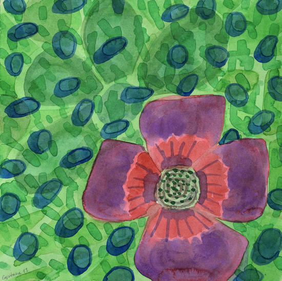 Single Purple Flower by Heidi Capitaine