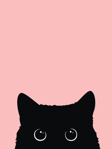 Black Cat by Vitor Costa