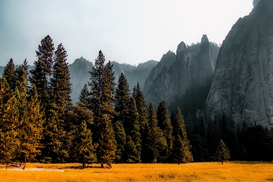Mountains with pine tree at Yosemite national park California USA by Timmy333