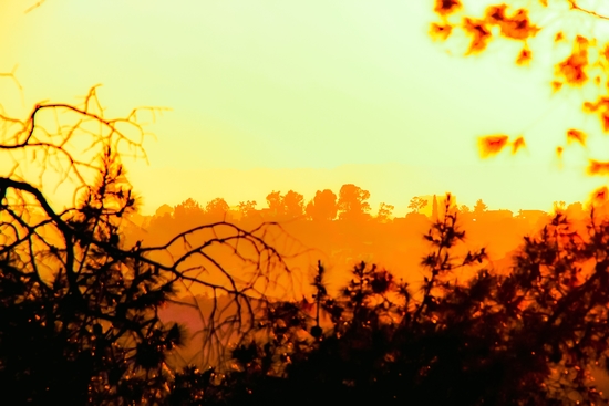 sunset sky in summer with silhouette view at Los Angeles, USA by Timmy333