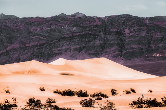 sand desert with mountain background at Death Valley national park California USA by Timmy333