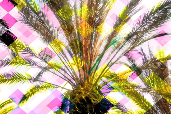 palm tree with geometric pixel square pattern abstract in pink yellow by Timmy333
