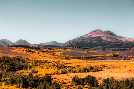 autumn landscape with mountain view and blue sky in California USA by Timmy333