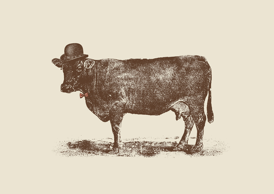 Cow Cow Nut by Florent Bodart - Speakerine