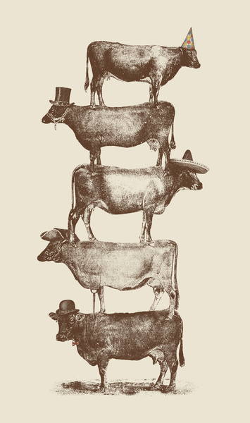 Cow Cow Nuts by Florent Bodart - Speakerine