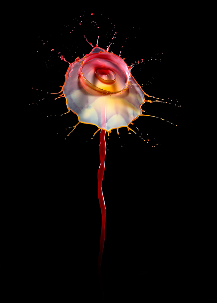 Water Rose by Jarek Blaminsky