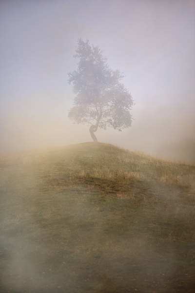 Loneliness at foggy dawn by Jarek Blaminsky