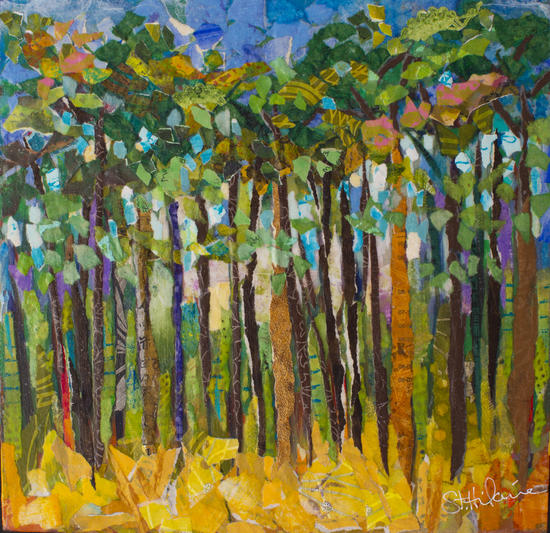 Pine Forrest by Elizabeth St. Hilaire