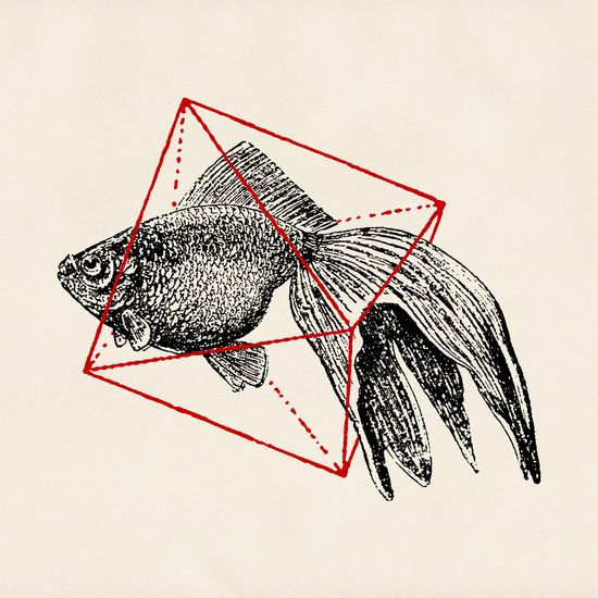 Fish In Geometrics III by Florent Bodart - Speakerine