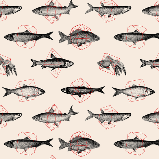 Fishes In Geometrics by Florent Bodart - Speakerine