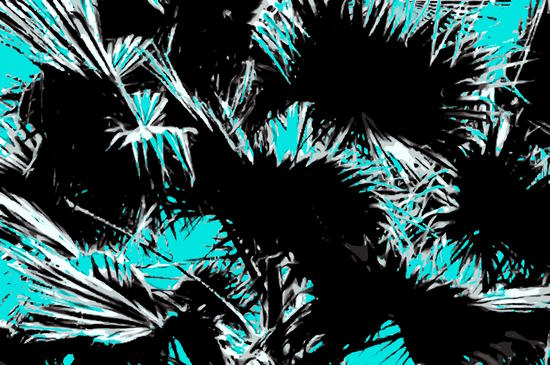 palm leaf abstract with blue background by Timmy333