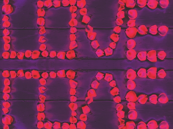 LOVE with pink rose on the purple wood background by Timmy333