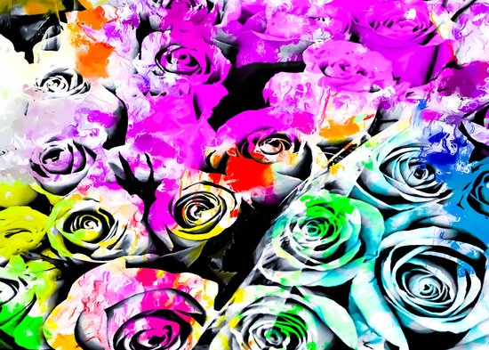 rose texture abstract  with colorful painting abstract background in pink blue green red yellow by Timmy333