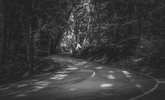 Road to nature on Highway 1, California, USA in black and white by Timmy333