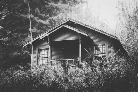wooden house in the forest with rain in black and white by Timmy333
