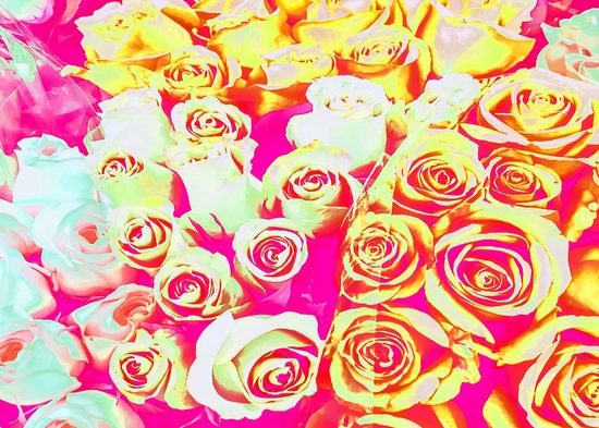 bouquet of roses texture pattern abstract in pink red yellow by Timmy333