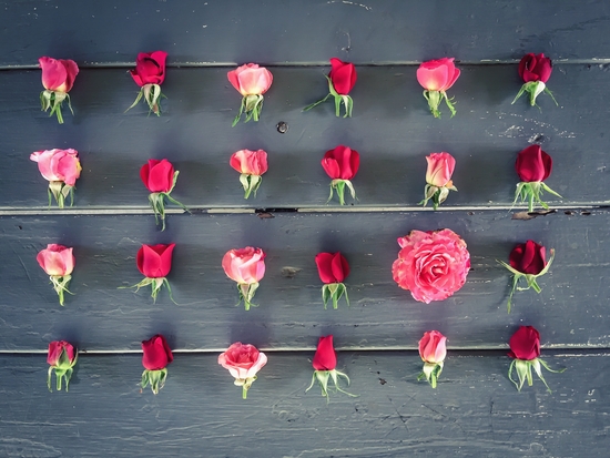 fresh red and pink roses on the wooden table by Timmy333