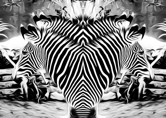 drawing and painting zebras in black and white by Timmy333