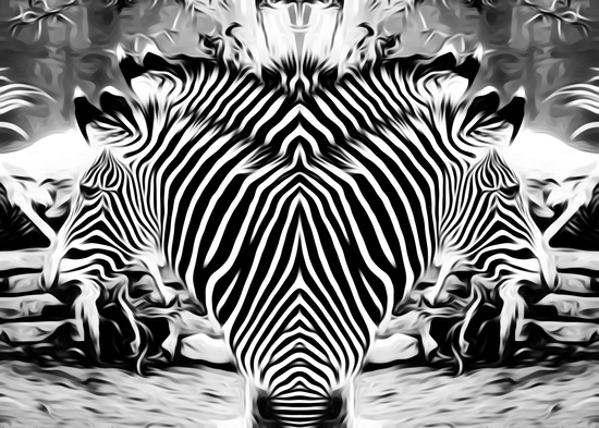 drawing and painting zebras in black and white by Timmy333