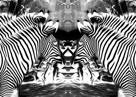 zebras in black and white by Timmy333