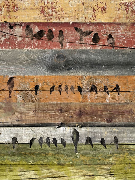 Bird composition II. by Irena Orlov