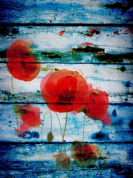 Poppies on Blue II by Irena Orlov