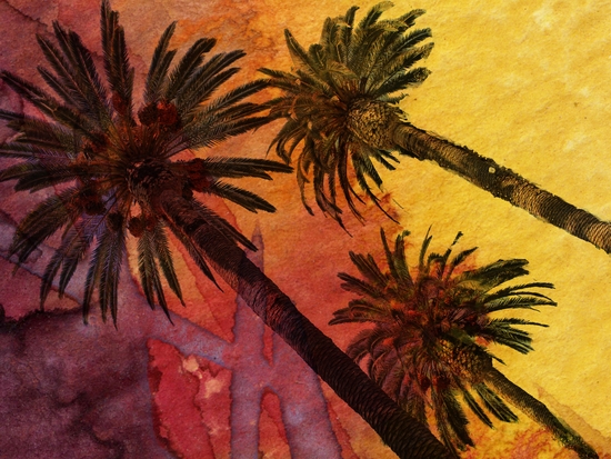 Los Angeles Palms. by Irena Orlov