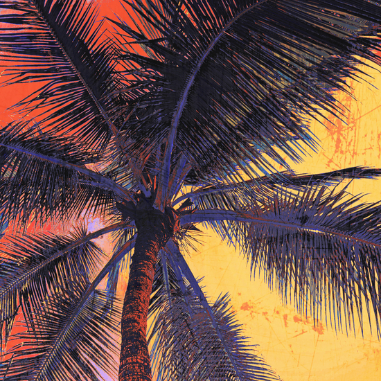  Palm Tree Sunset by Irena Orlov