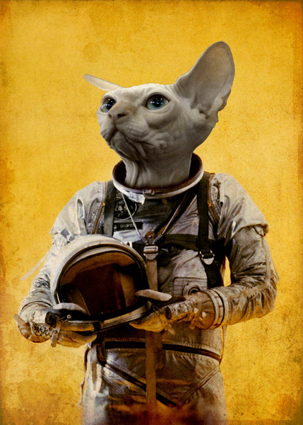 Proud astronaut by durro art