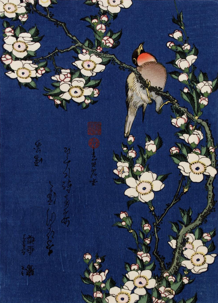 Robin on a Branch of Cherry Blossom by Katsushika Hokusai