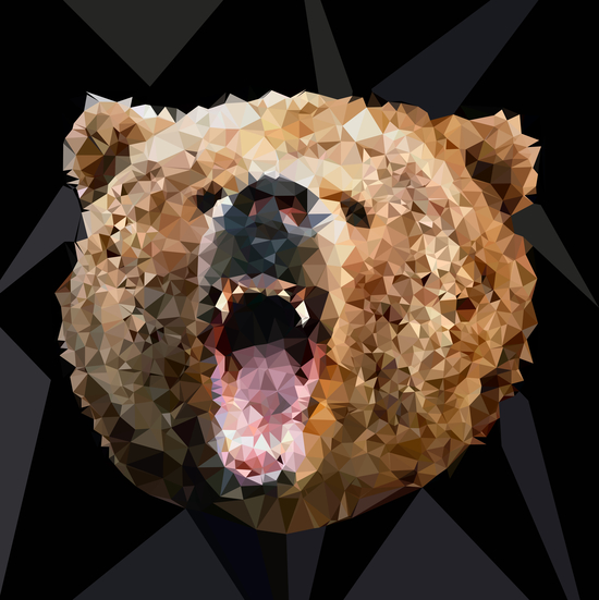 Angry Bear by Vic Storia
