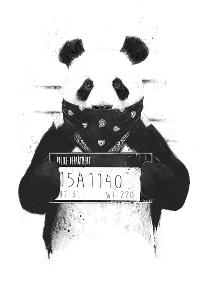 Bad panda by Balazs Solti