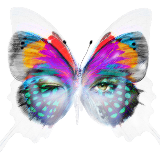 Masque Papillon by Vic Storia