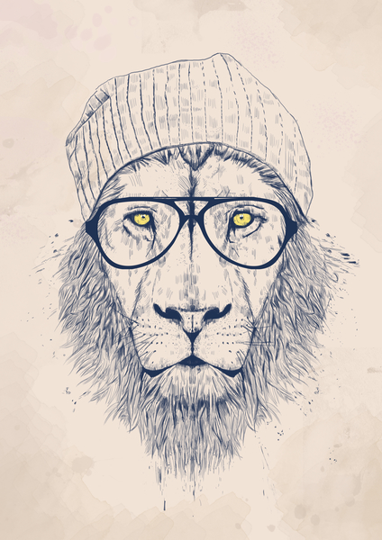 Cool lion by Balazs Solti