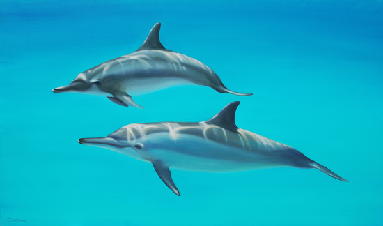Dolphins by di-tommaso