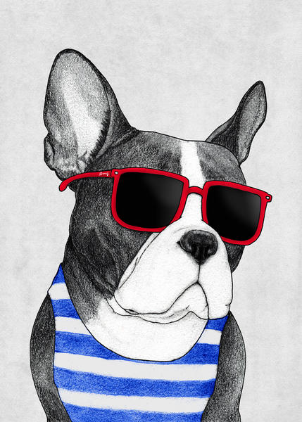 Frenchie Summer Style by Barruf