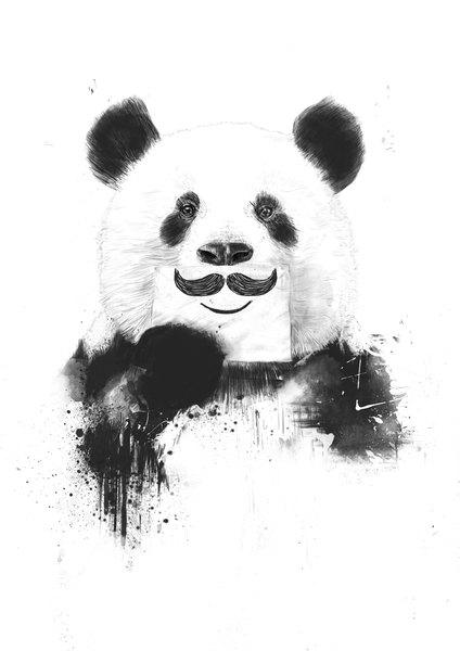 Funny panda by Balazs Solti