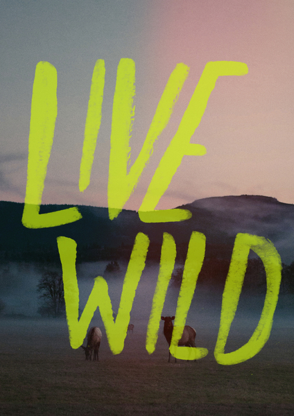Live Wild by Leah Flores