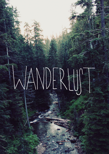 Wanderlust Rainier Creek by Leah Flores