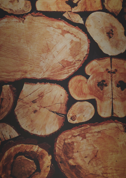 Lumberjack by Leah Flores