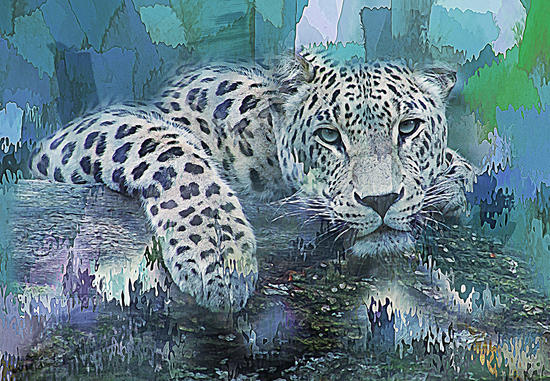 Leopard by Galen Valle