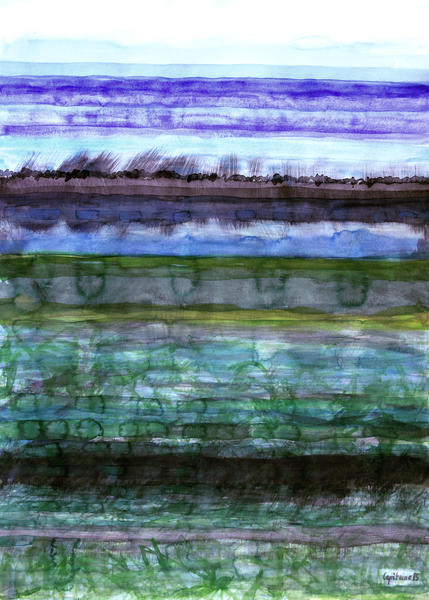 Wetland  by Heidi Capitaine