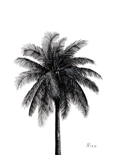 Palm Tree by Nika_Akin