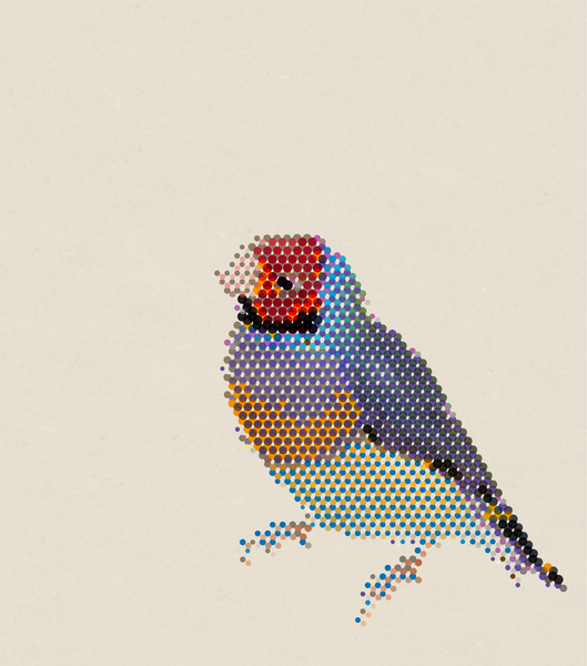 Red Head Bird by Alex Xela