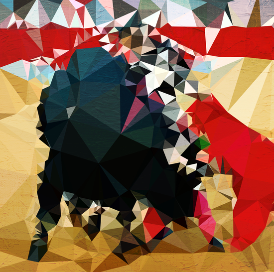 Toro! by Vic Storia
